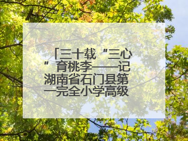 三十载“三心”育桃李——记湖南省石门县第一完全小学高级教师覃玲君