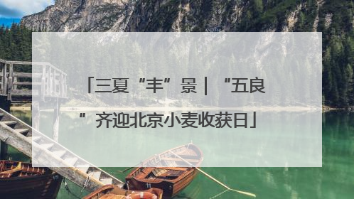三夏“丰”景｜“五良”齐迎北京小麦收获日
