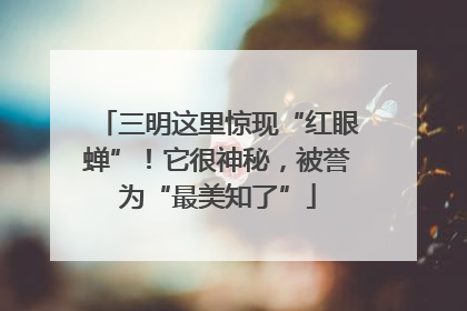 三明这里惊现“红眼蝉”！它很神秘，被誉为“最美知了”