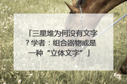 三星堆为何没有文字？学者：组合器物或是一种“立体文字”