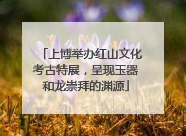 上博举办红山文化考古特展，呈现玉器和龙崇拜的渊源