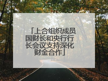 上合组织成员国财长和央行行长会议支持深化财金合作
