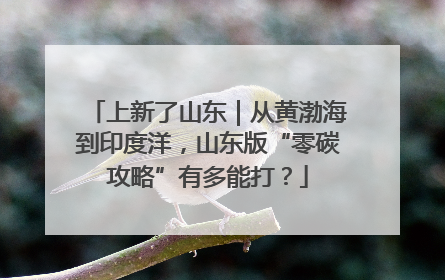 上新了山东｜从黄渤海到印度洋，山东版“零碳攻略”有多能打？