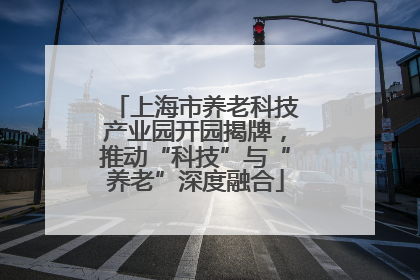上海市养老科技产业园开园揭牌，推动“科技”与“养老”深度融合