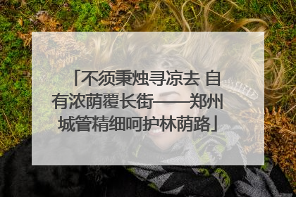 不须秉烛寻凉去 自有浓荫覆长街——郑州城管精细呵护林荫路