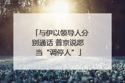 与伊以领导人分别通话 普京说愿当“调停人”