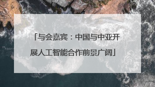 与会嘉宾：中国与中亚开展人工智能合作前景广阔