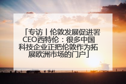 专访丨伦敦发展促进署CEO西特伦：很多中国科技企业正把伦敦作为拓展欧洲市场的门户