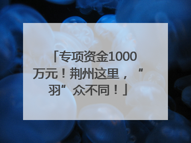 专项资金1000万元！荆州这里，“羽”众不同！