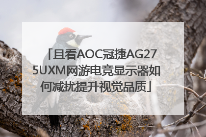 且看AOC冠捷AG275UXM网游电竞显示器如何减扰提升视觉品质
