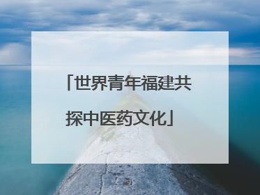 世界青年福建共探中医药文化