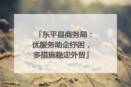 东平县商务局：优服务助企纾困，多措施稳定外贸