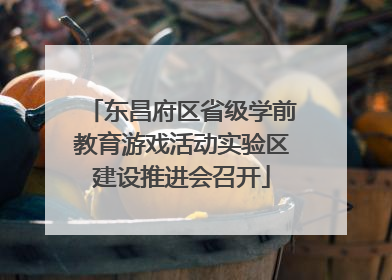 东昌府区省级学前教育游戏活动实验区建设推进会召开