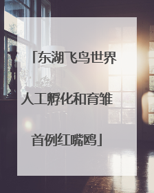 东湖飞鸟世界人工孵化和育雏首例红嘴鸥