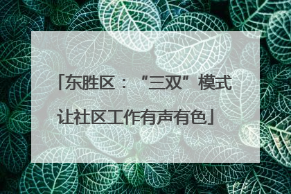 东胜区：“三双”模式让社区工作有声有色