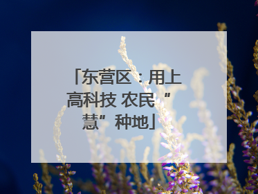 东营区：用上高科技 农民“慧”种地