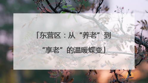 东营区：从“养老”到“享老”的温暖蝶变