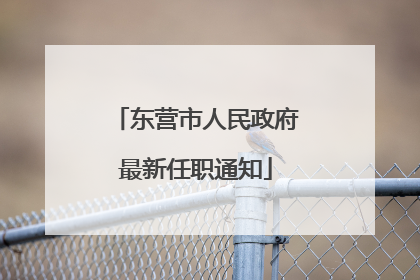 东营市人民政府最新任职通知