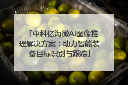 中科亿海微AI图像推理解决方案：助力智能装备目标识别与跟踪