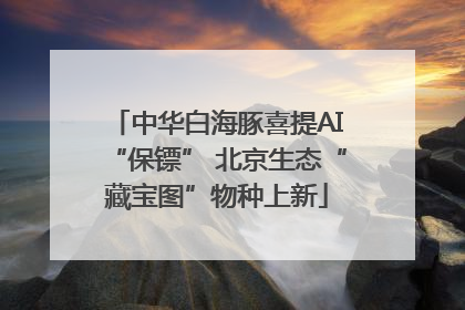 中华白海豚喜提AI“保镖” 北京生态“藏宝图”物种上新