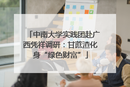 中南大学实践团赴广西凭祥调研：甘蔗渣化身“绿色财富”