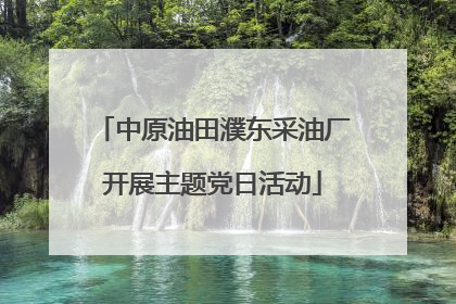 中原油田濮东采油厂开展主题党日活动
