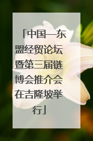 中国—东盟经贸论坛暨第三届链博会推介会在吉隆坡举行