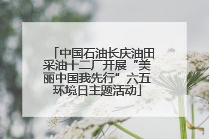 中国石油长庆油田采油十二厂开展“美丽中国我先行”六五环境日主题活动