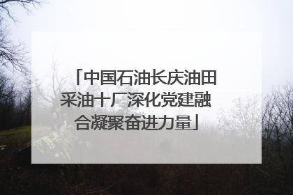 中国石油长庆油田采油十厂深化党建融合凝聚奋进力量