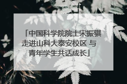 中国科学院院士宋振骐走进山科大泰安校区 与青年学生共话成长