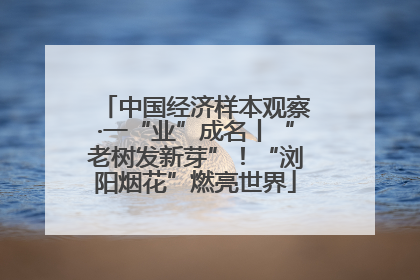 中国经济样本观察·一“业”成名丨“老树发新芽”！“浏阳烟花”燃亮世界