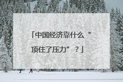 中国经济靠什么“顶住了压力”？