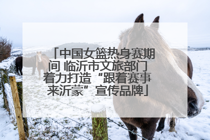 中国女篮热身赛期间 临沂市文旅部门着力打造“跟着赛事来沂蒙”宣传品牌
