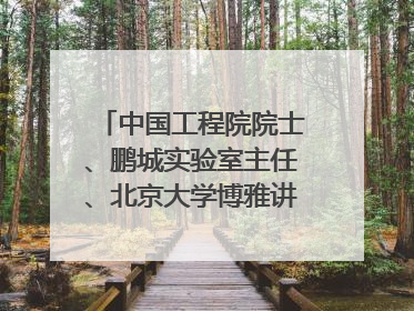 中国工程院院士、鹏城实验室主任、北京大学博雅讲席教授高文：“以人为本 智能向善” 推动文化与科技相生相促｜聚焦2025文化强国建设高峰论坛
