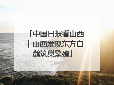 中国日报看山西｜山西发现东方白鹳筑巢繁殖