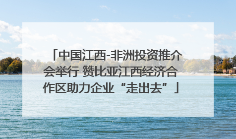 中国江西-非洲投资推介会举行 赞比亚江西经济合作区助力企业“走出去”