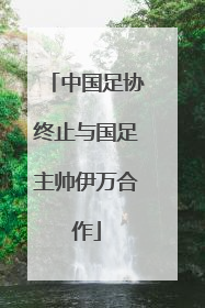 中国足协终止与国足主帅伊万合作