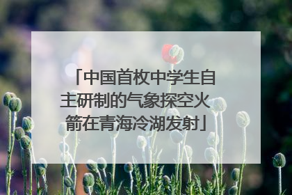 中国首枚中学生自主研制的气象探空火箭在青海冷湖发射