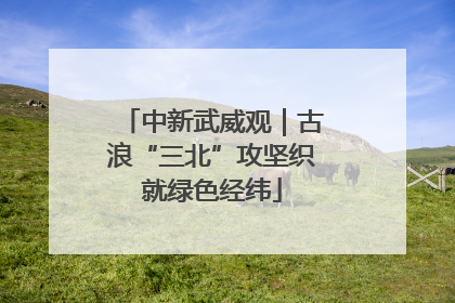 中新武威观｜古浪“三北”攻坚织就绿色经纬