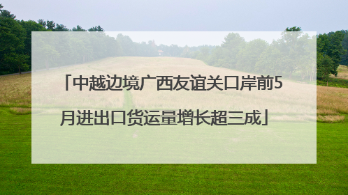中越边境广西友谊关口岸前5月进出口货运量增长超三成