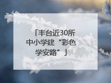 丰台近30所中小学建“彩色学安路”