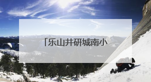 乐山井研城南小学：展现青春担当，共议身边要事