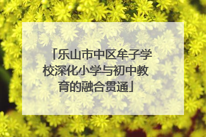 乐山市中区牟子学校深化小学与初中教育的融合贯通
