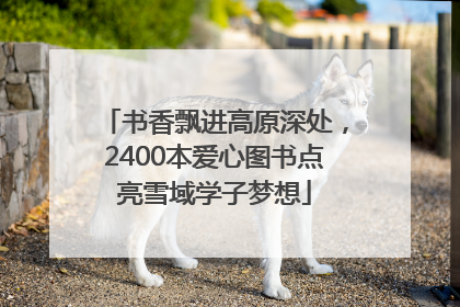 书香飘进高原深处，2400本爱心图书点亮雪域学子梦想