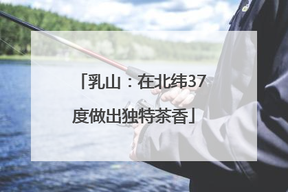 乳山：在北纬37度做出独特茶香