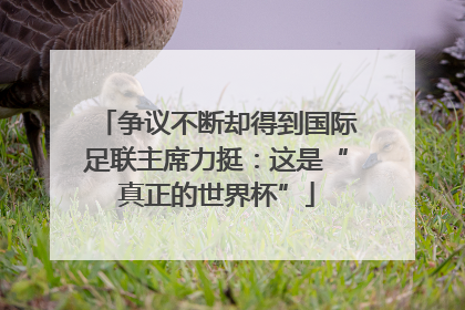 争议不断却得到国际足联主席力挺：这是“真正的世界杯”