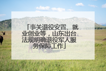 事关退役安置、就业创业等，山东出台法规明确退役军人服务保障工作