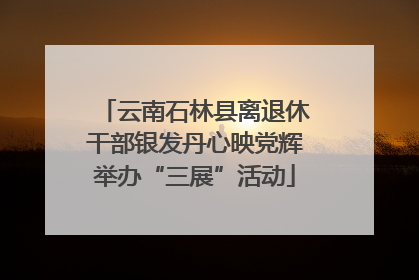 云南石林县离退休干部银发丹心映党辉举办“三展”活动