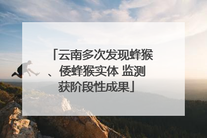 云南多次发现蜂猴、倭蜂猴实体 监测获阶段性成果