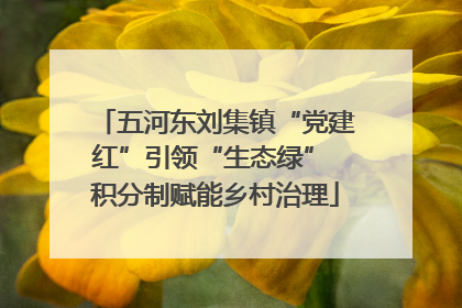 五河东刘集镇“党建红”引领“生态绿” 积分制赋能乡村治理
